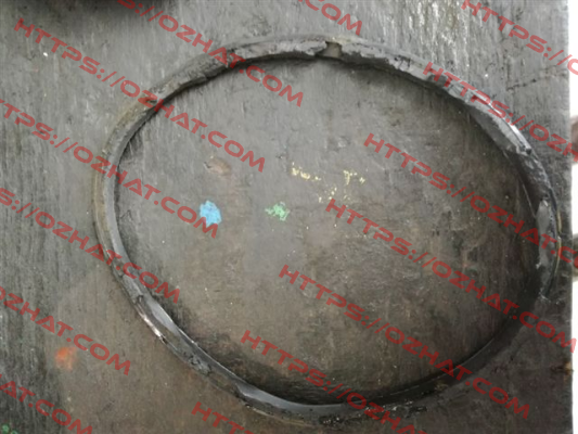 O-ring for Serial n. CF 0010373   Tecofi