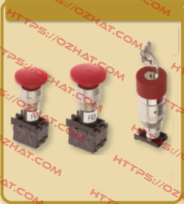 RS2FRR-11 COELBO