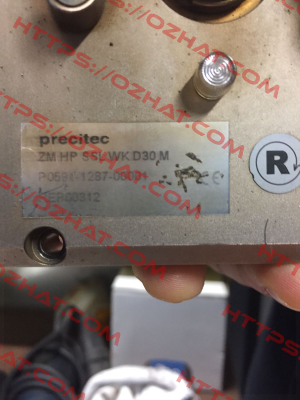 P0591-1287-00001 Precitec