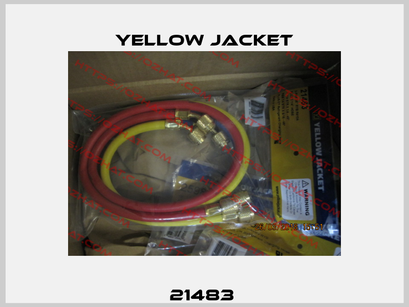 21483  Yellow Jacket