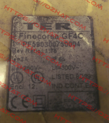 PF590300750004  Ter Tecno Elettrica Ravasi