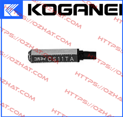 CS11TA Koganei