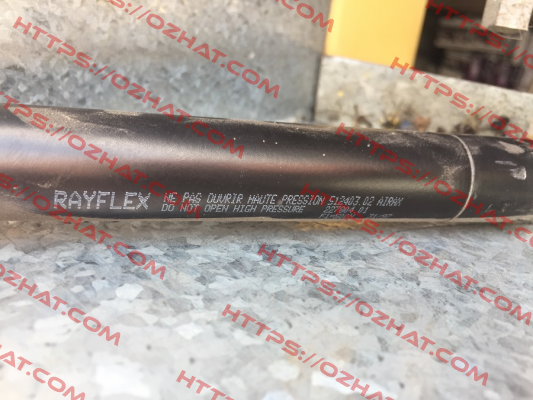 512403  Rayflex