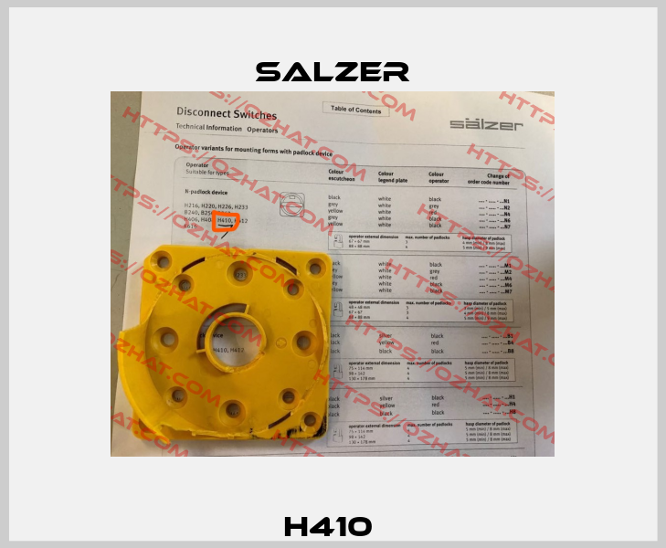 H410  Salzer