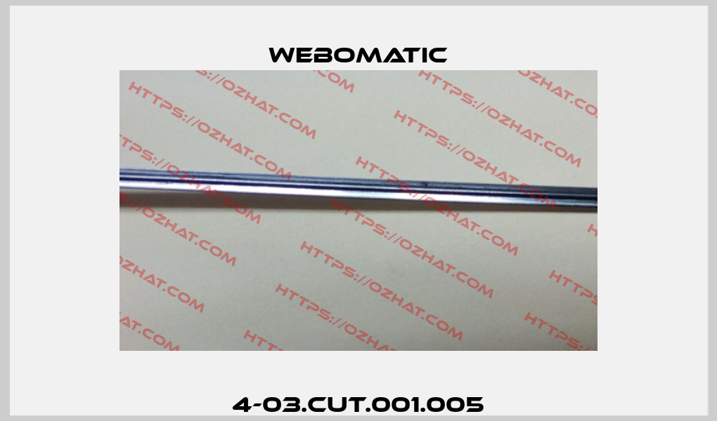 4-03.CUT.001.005 Webomatic