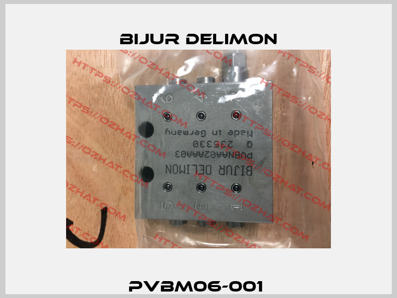 PVBM06-001  Bijur Delimon