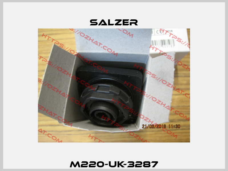 M220-UK-3287 Salzer
