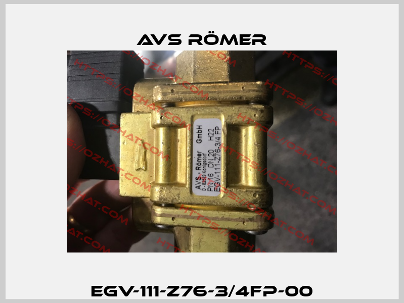 EGV-111-Z76-3/4FP-00 Avs Römer