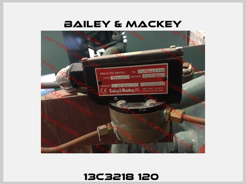 13C3218 120  Bailey & Mackey
