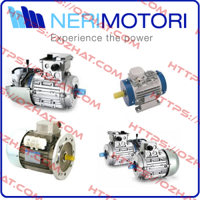 T 080B 4P B5 Neri Motori