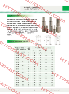 G2.0 Filtering Element Fiorentini