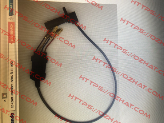 SDN6.FK11.E05R Rheintacho