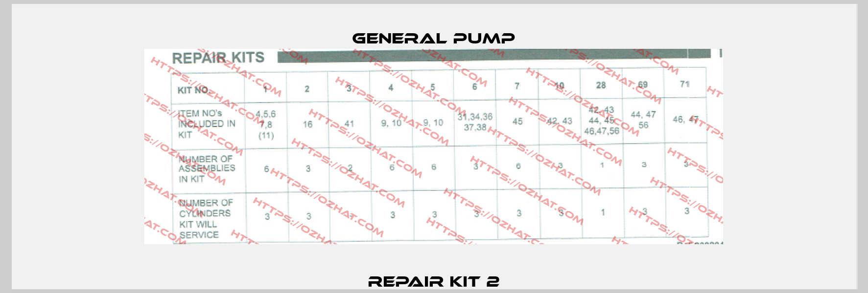 Repair Kit 2 General Pump