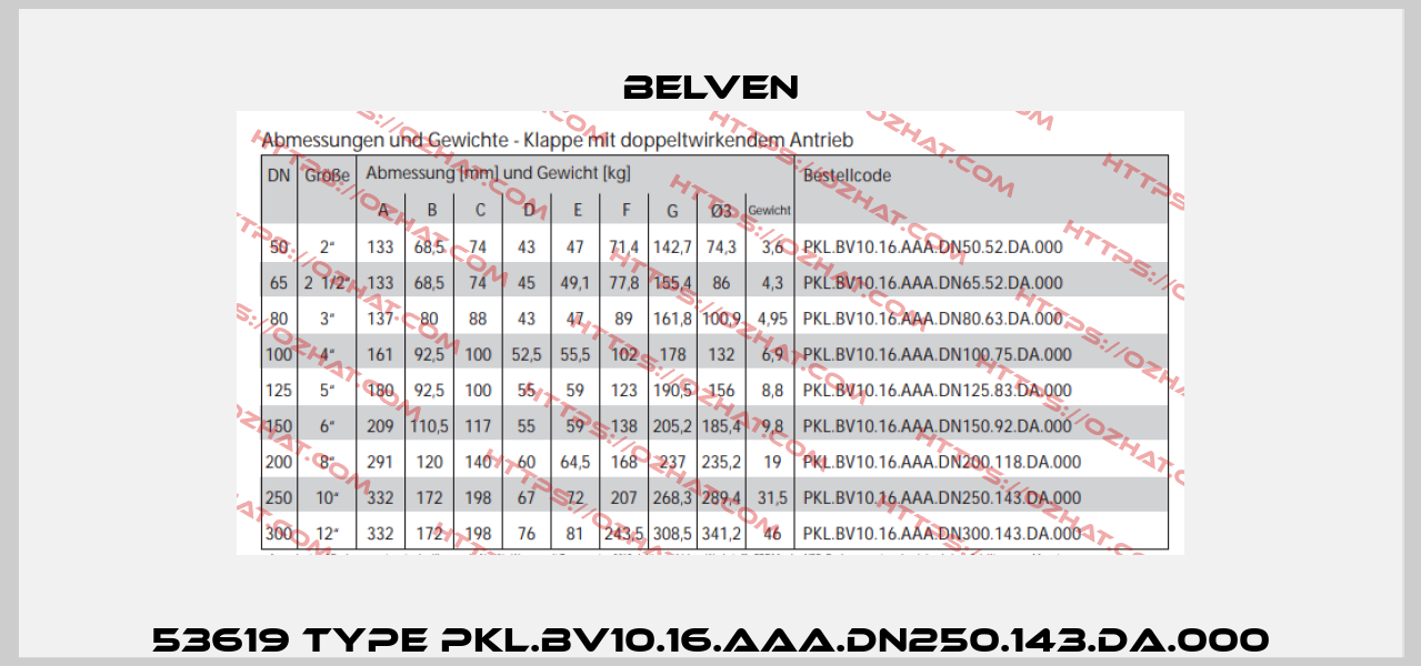 53619 Type PKL.BV10.16.AAA.DN250.143.DA.000 Belven