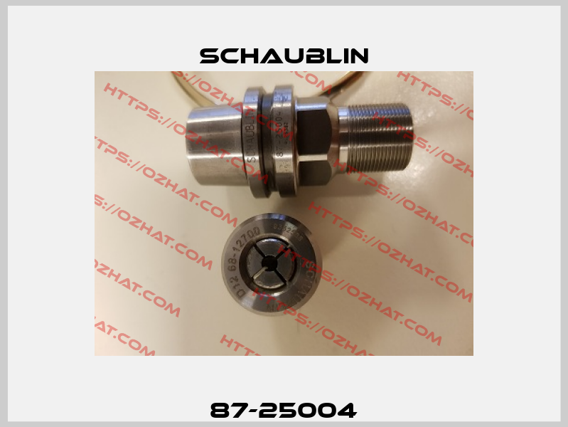 87-25004 Schaublin