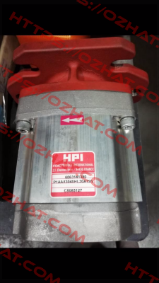 P1AAX3040HL30A19N HPI
