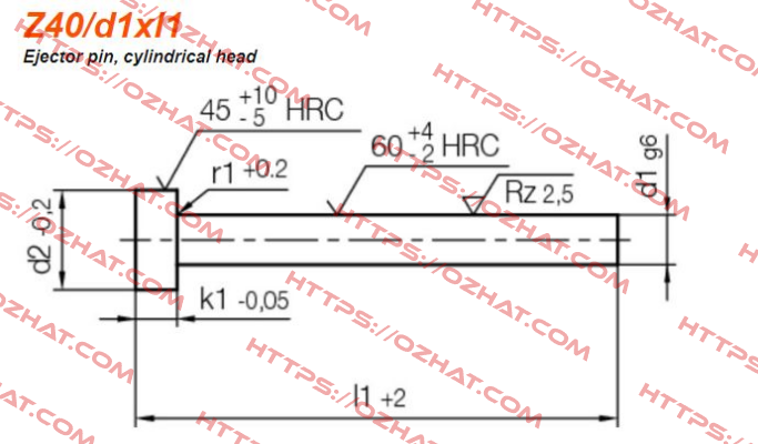 Z40/1,5x100 Hasco
