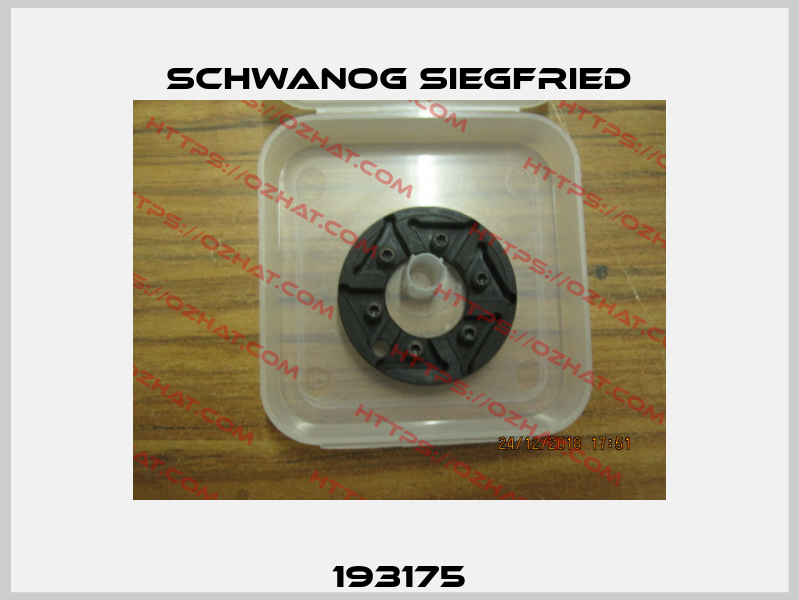 193175 Schwanog Siegfried