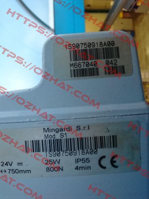 1S90750918A00 Mingardi