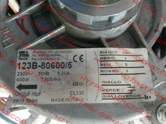 123B-80800/5 Euro Motors Italia