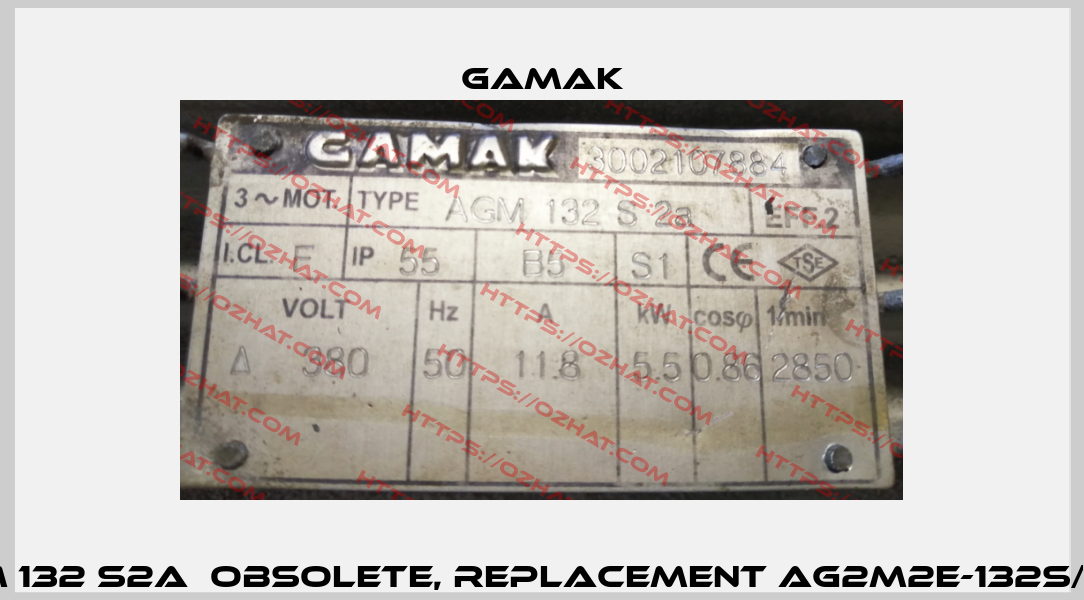 AGM 132 S2a  OBSOLETE, REPLACEMENT AG2M2E-132S/2a!!! Gamak