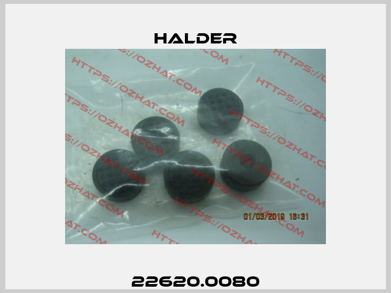 22620.0080 Halder