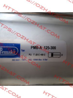 Y-69-041 Pemaks
