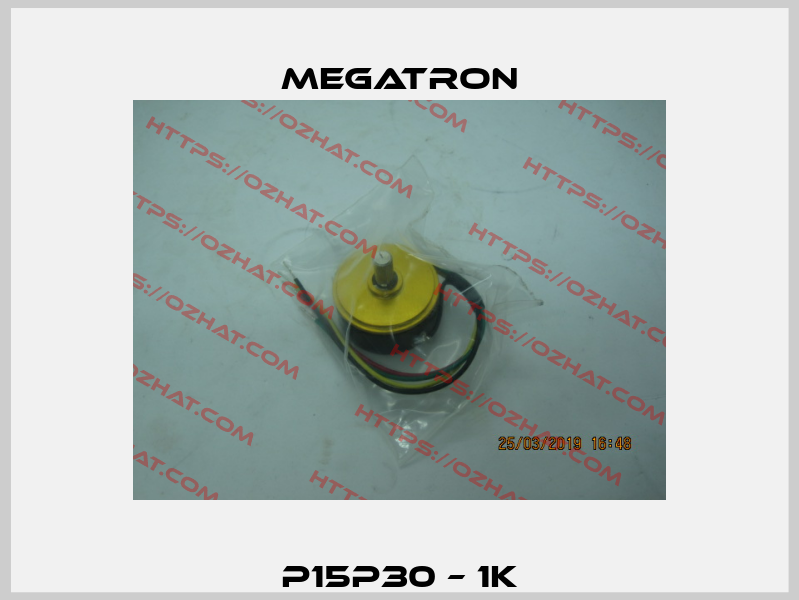 P15P30 – 1K Megatron