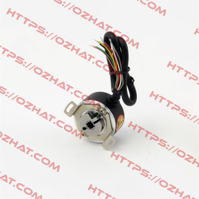 SE462000AA10030 Ever Elettronica