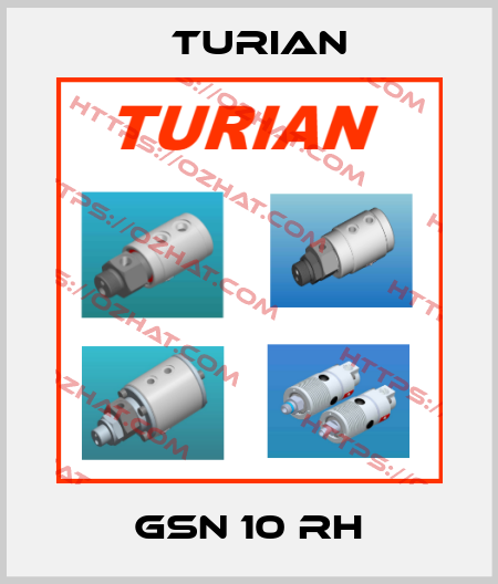GSN 10 RH Turian