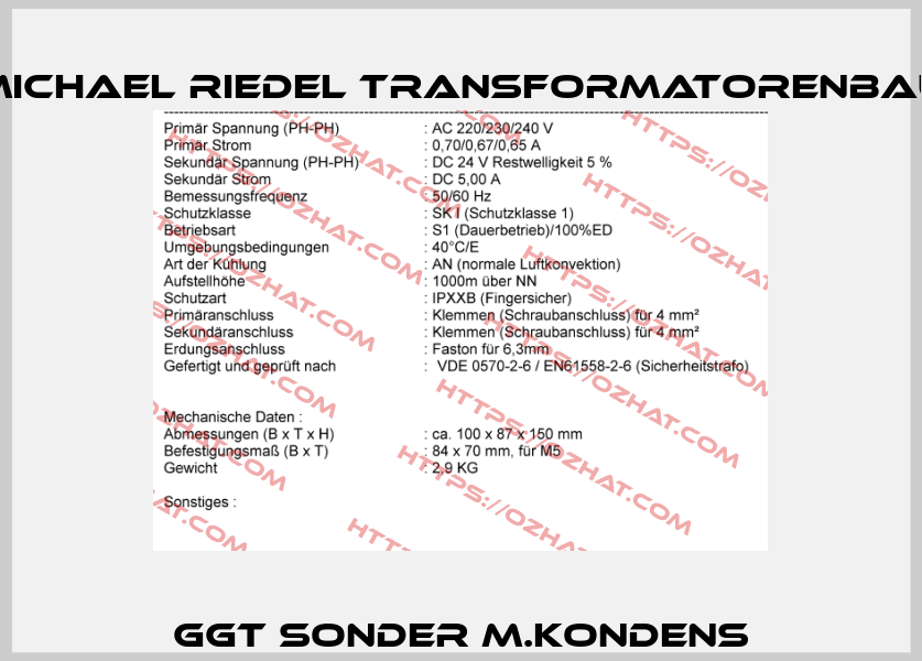 GGT Sonder m.Kondens Michael Riedel Transformatorenbau