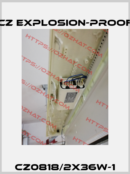 CZ0818/2X36W-1 CZ Explosion-proof