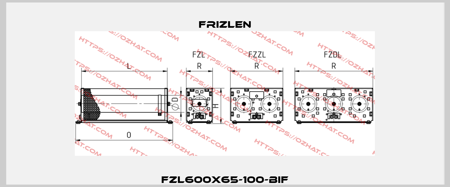 FZL600X65-100-BIF Frizlen