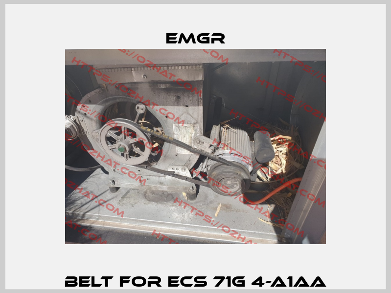 Belt for ECS 71G 4-A1AA EMGR