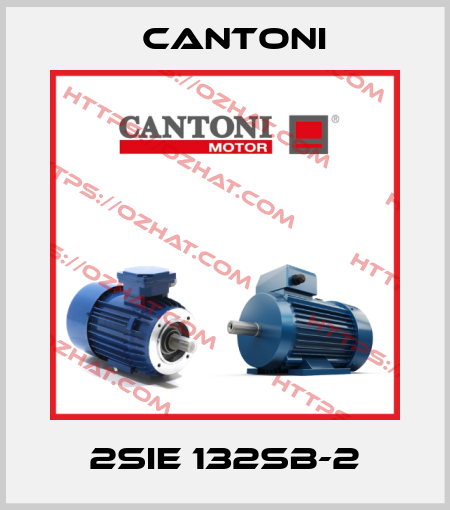 2SIE 132SB-2 Cantoni