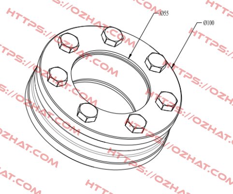 RFN4061 55X100 Ringfeder