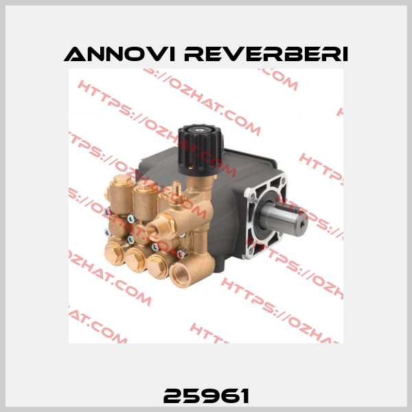 25961 Annovi Reverberi