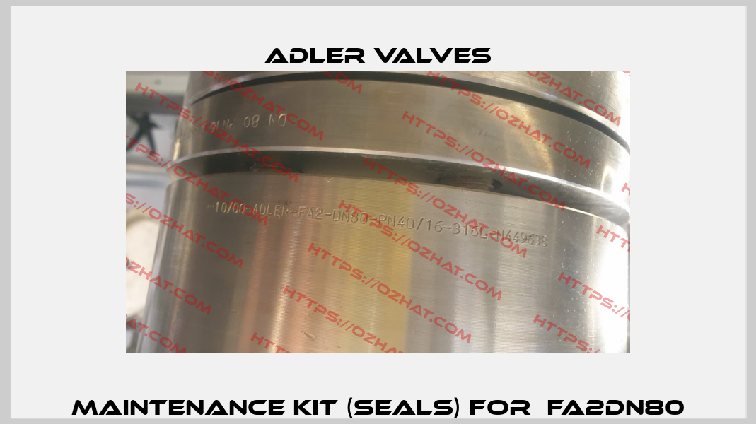 maintenance kit (seals) for  FA2DN80 Adler Valves