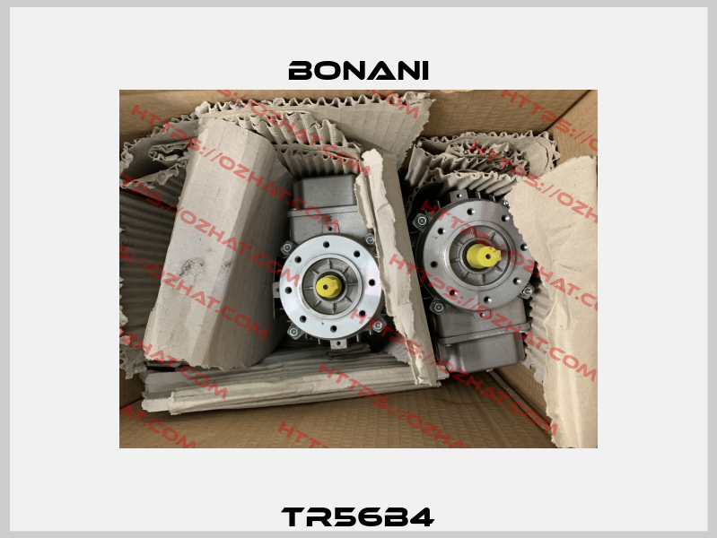 TR56B4 Bonani