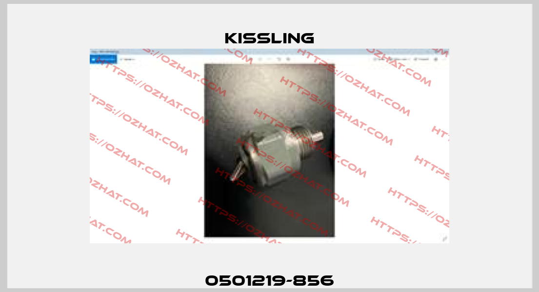 0501219-856 Kissling