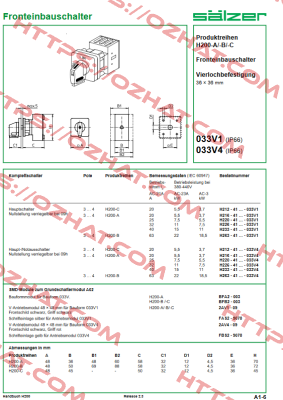 H263-41300-033V4 Salzer