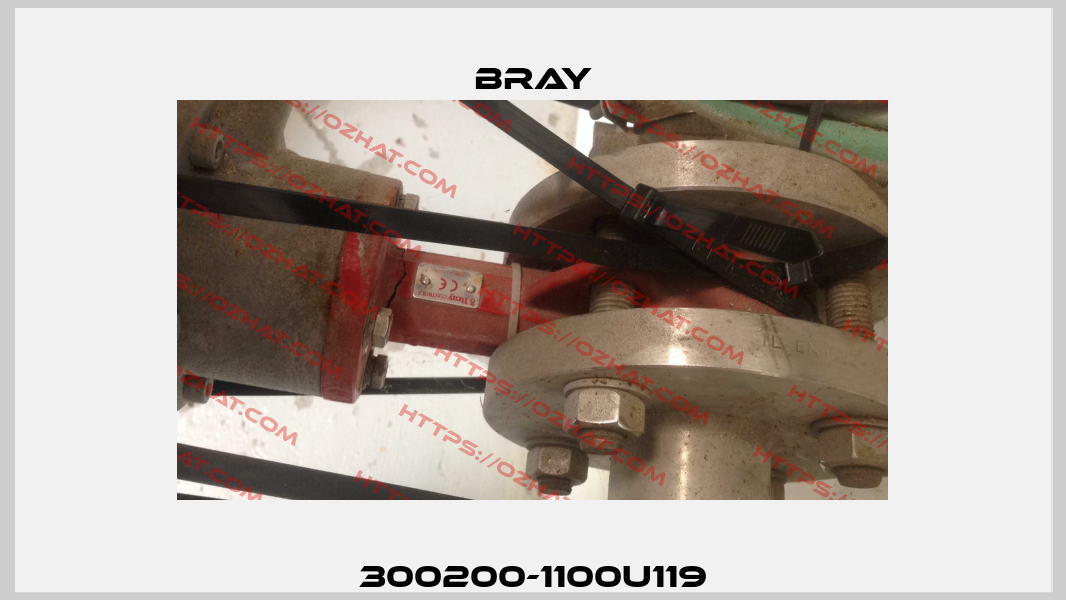 300200-1100U119 Bray