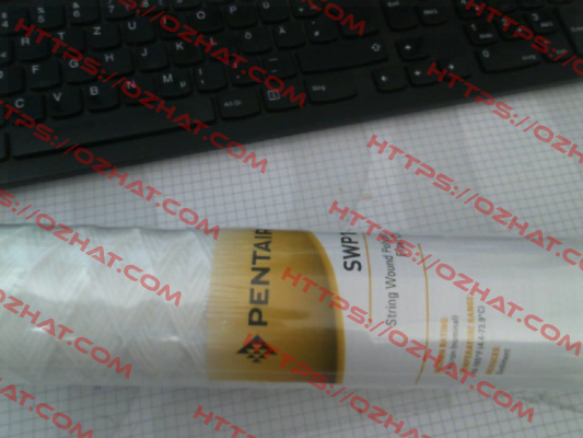 SWP1P40 Pentek (Pentair)