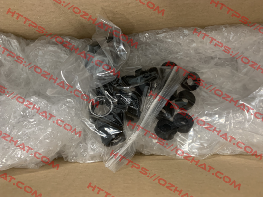E13AX0A00BFP Pneumatrol