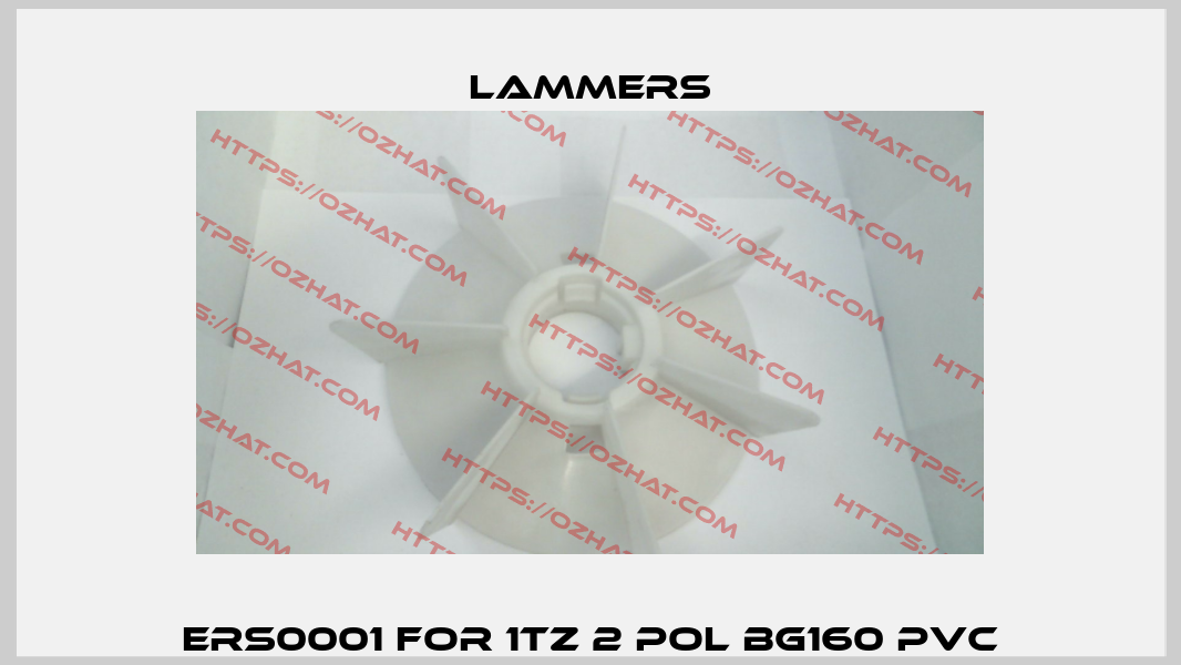 ERS0001 for 1TZ 2 Pol BG160 PVC Lammers