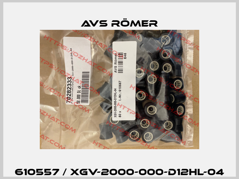 610557 / XGV-2000-000-D12HL-04 Avs Römer
