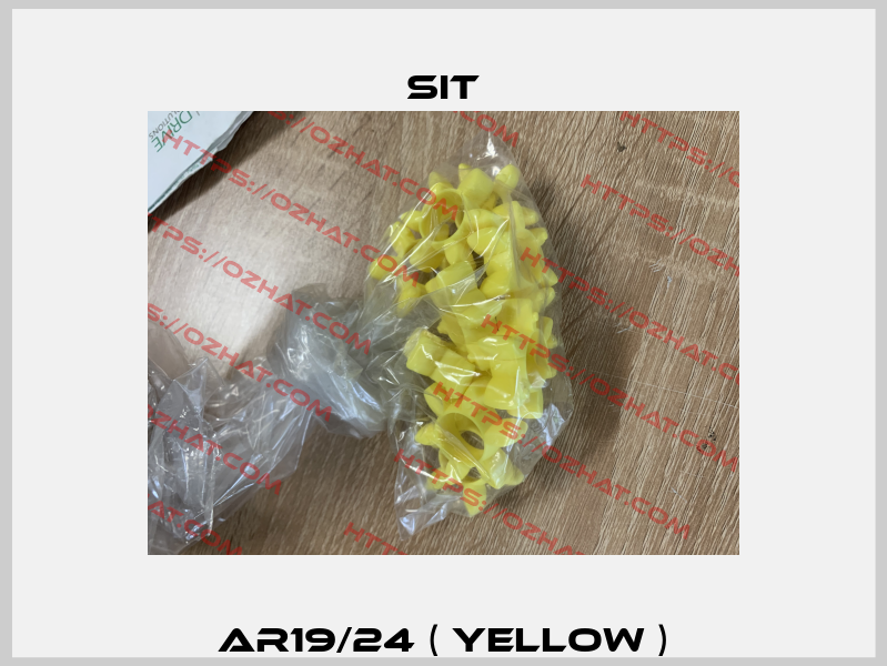 AR19/24 ( yellow ) SIT