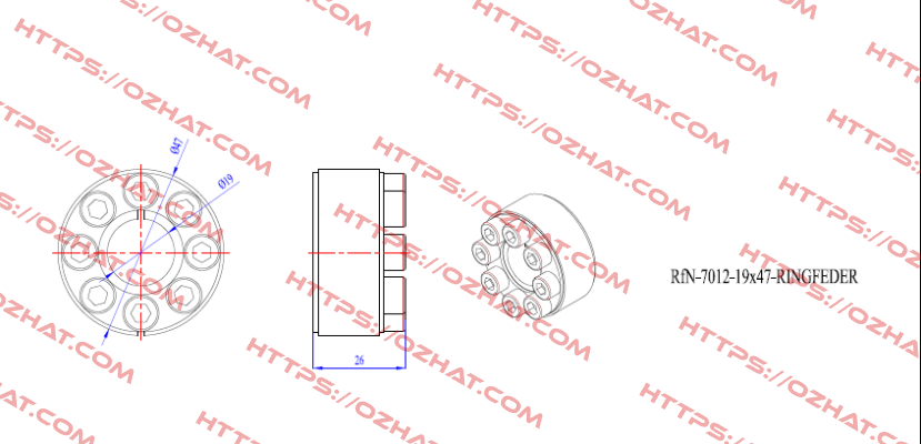RfN7012 19X47  Ringfeder