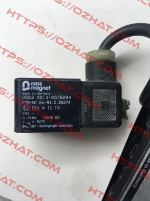 056300.1-00/6294 Nass Magnet