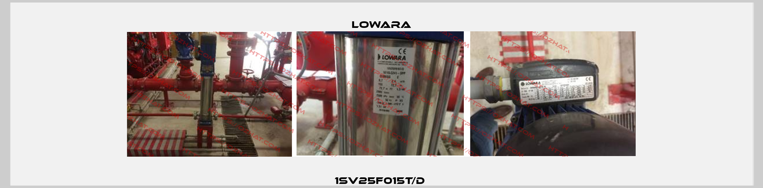 1SV25F015T/D  Lowara